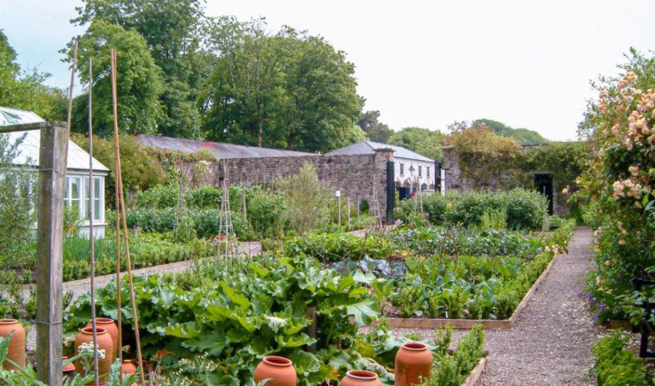 Ballynatray Estate - Vegetable Garden
