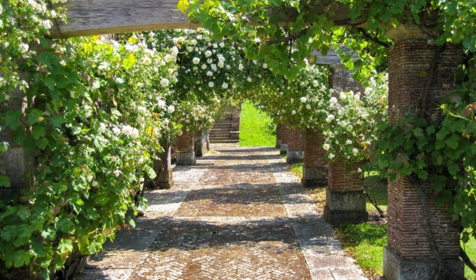 Marsh Court Hampshire - Tree Lined Walkway